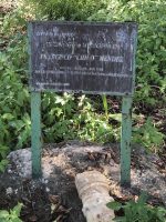 Targa commemorativa a Francisco “Chico” Mendez (20th century)